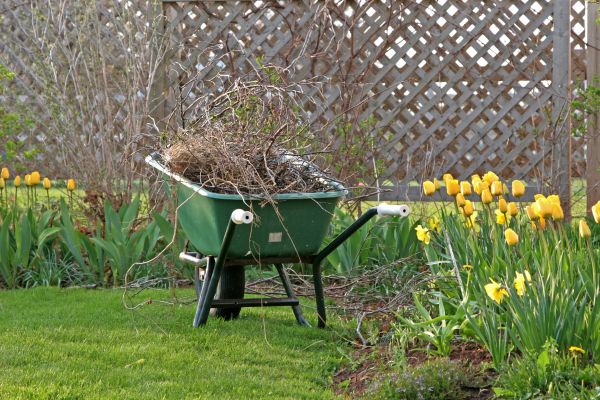 Flower Bed Cleanup Service in Naples