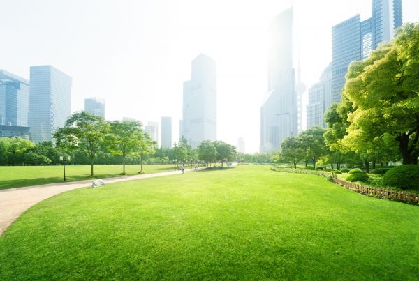 Commercial Landscape Maintenance in Naples