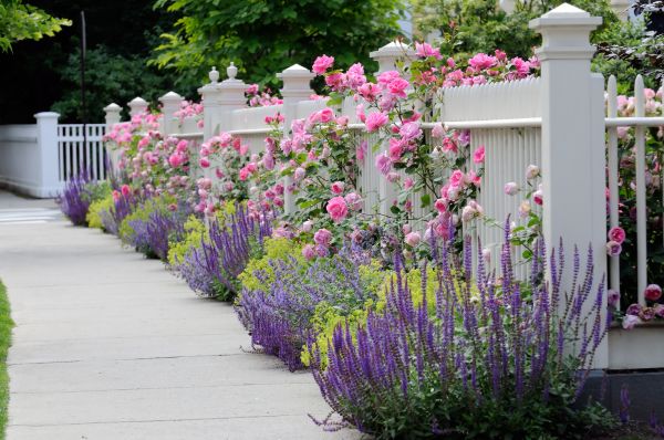 Garden Handyman Service in Naples