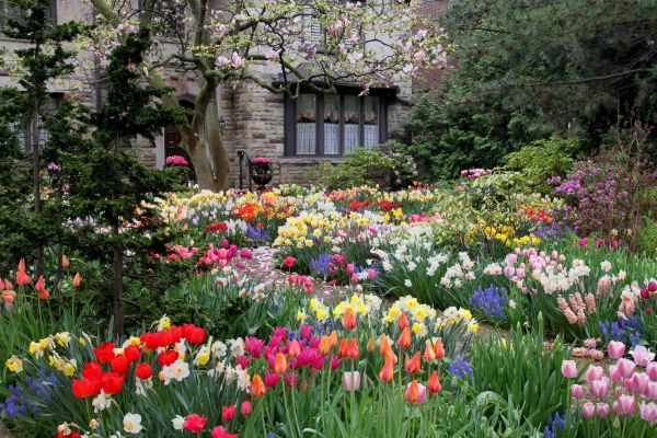 Garden Maintenance Service in Naples
