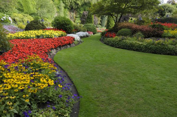Landscaping Maintenance in Naples