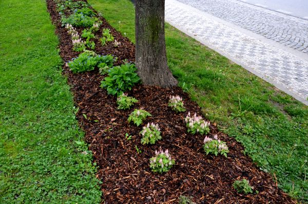 Mulch Replacement Service in Naples