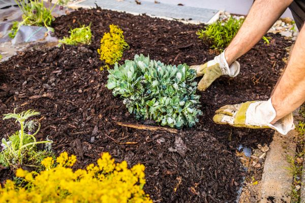 Weeding And Mulching in Naples