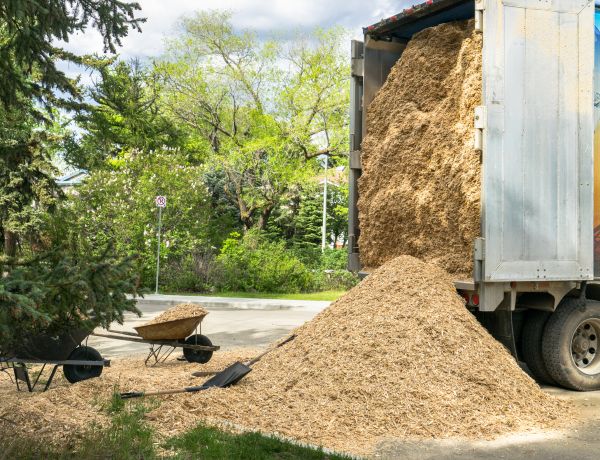 Wood Chips Delivery in Naples