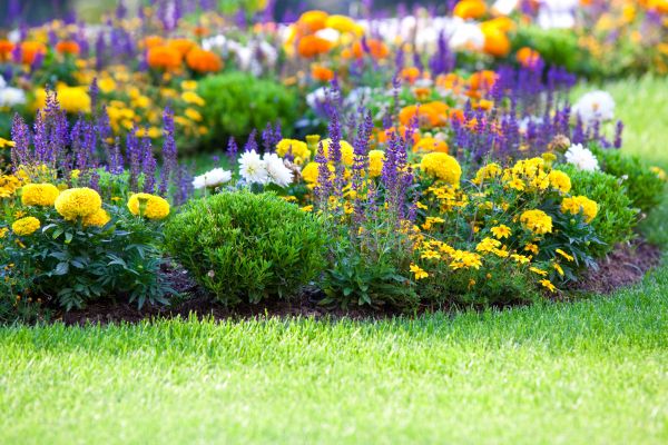 Garden Installation in Naples