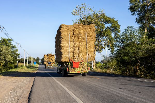 Pine Straw Delivery in Naples