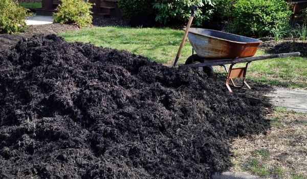 Black Mulch Delivery in Naples