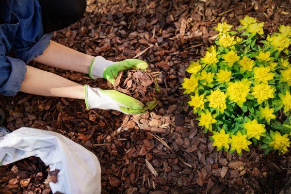 Garden Mulching in Naples