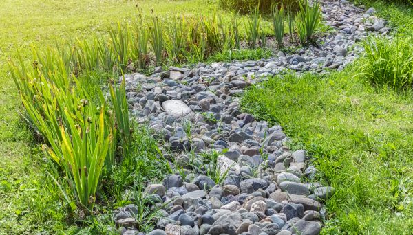 River Rock Garden Installation in Naples