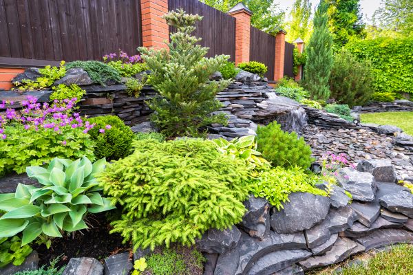 Landscape Remodeling in Naples