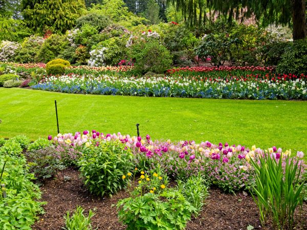 Residential Landscape Design in Naples