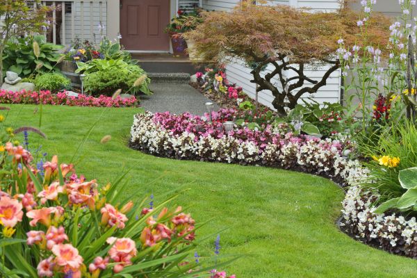 Perennial Landscaping in Naples