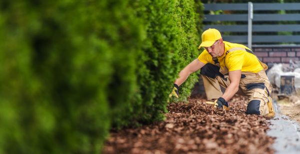Cypress Mulch Installation in Naples