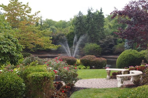 Courtyard Design Service in Naples