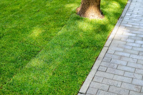 Border Stone Installation in Naples