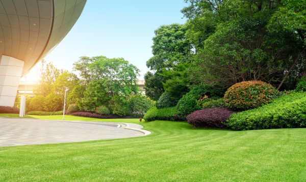 Business Landscape Design in Naples