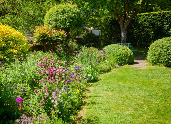 Yard Landscaping Service in Naples