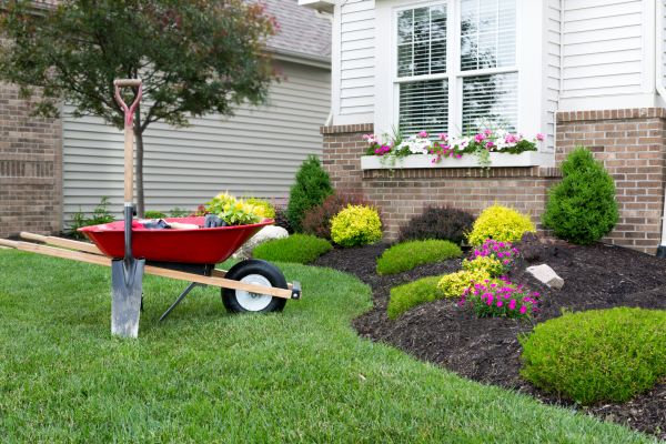Tree And Shrub Planting in Naples