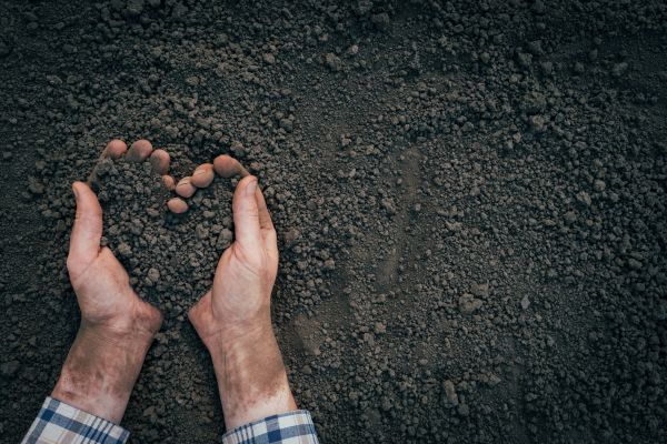 Soil Installation in Naples