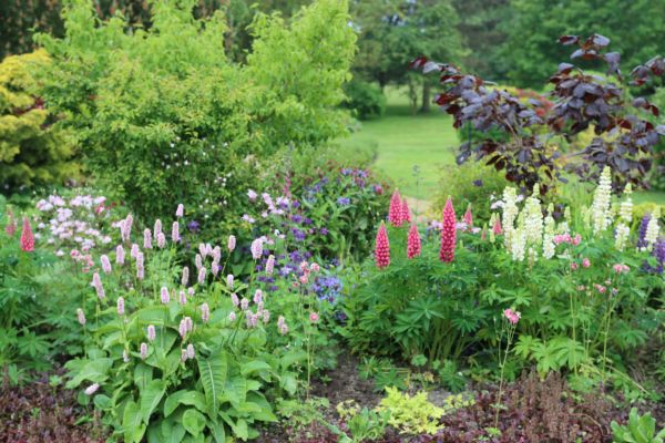 Flower Bed Planting in Naples