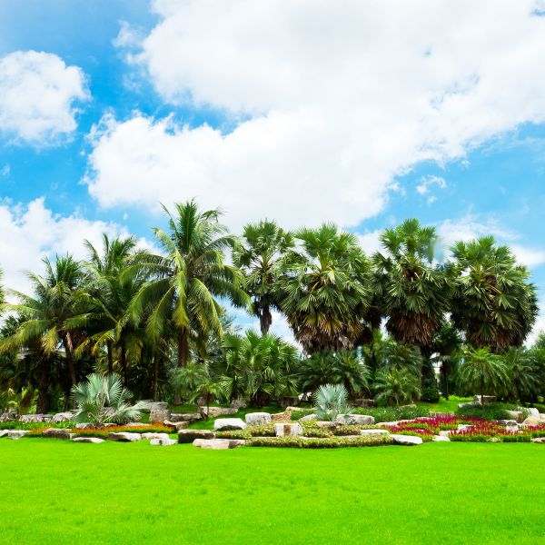 Tropical Landscaping in Naples