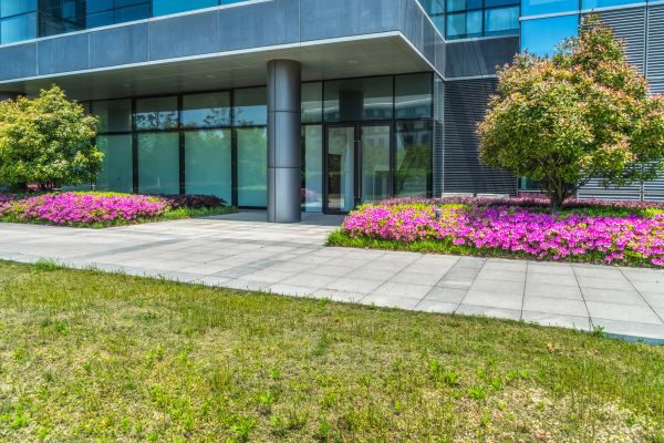 Commercial Gardening in Naples