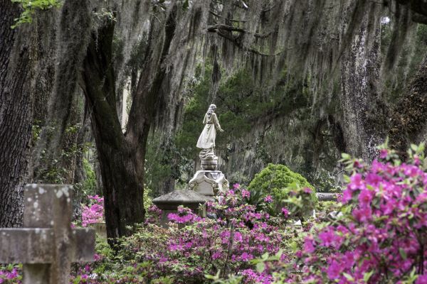 Cemetery Landscaping in Naples