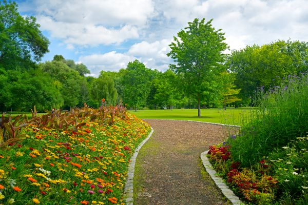 Park Landscaping in Naples