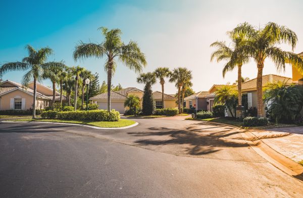 Palm Tree Landscaping in Naples