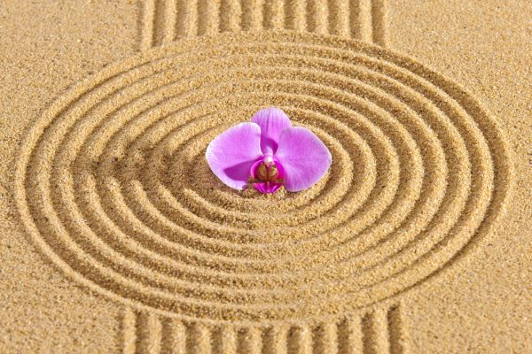 Sand Garden Landscaping in Naples