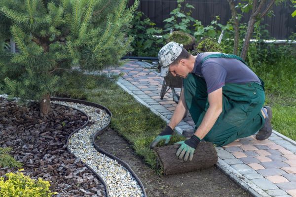 Landscaping Modification in Naples