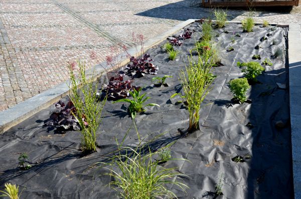 Landscape Fabric Installation in Naples
