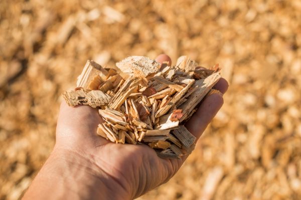 Wood Chips Spreading in Naples