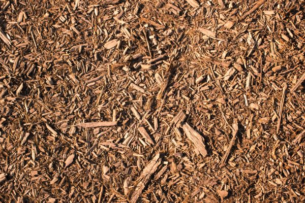 Wood Chips Removal in Naples