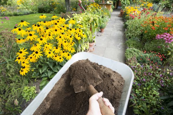 Topsoil Replacement in Naples