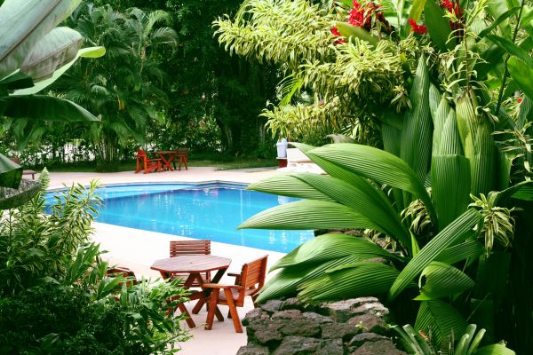 Pool Area Landscaping in Naples