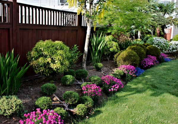Garden Bed Construction in Naples