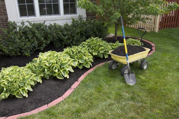 Landscape Mulching in Naples