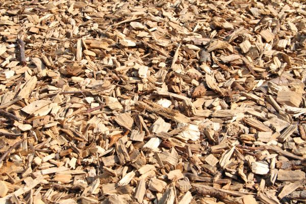 Wood Mulch Delivery in Naples