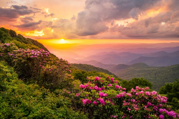Hill Landscaping in Naples