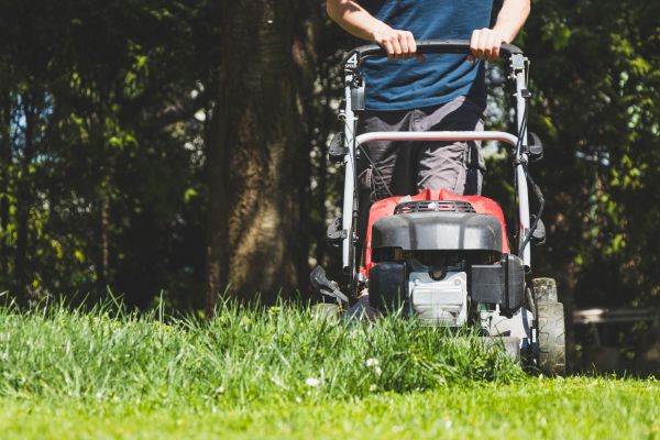 Garden Trimming Service in Naples