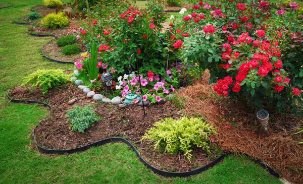 Floral Landscaping in Naples