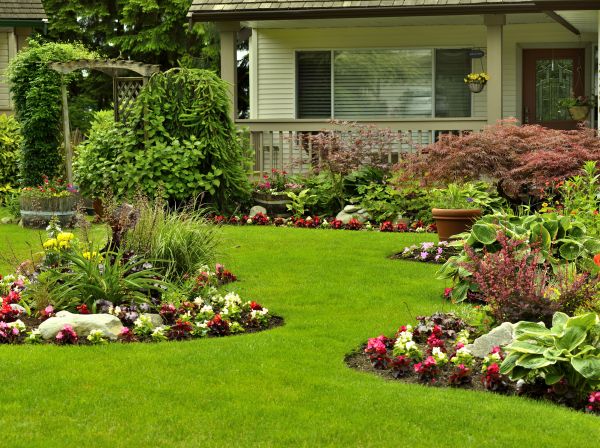 Flower Garden Planting in Naples