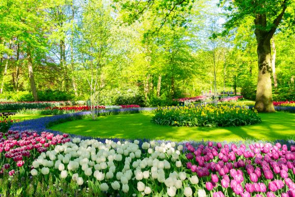 Flower Landscaping in Naples