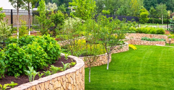 Yard Makeover Service in Naples