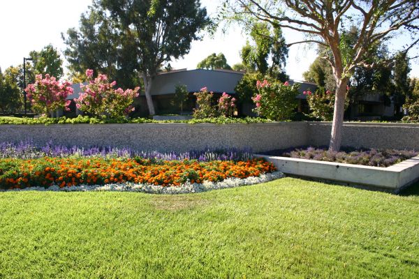 Commercial Landscape Service in Naples