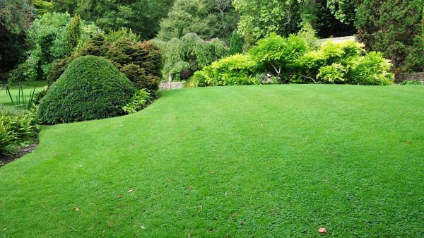 Commercial Landscape Design in Naples