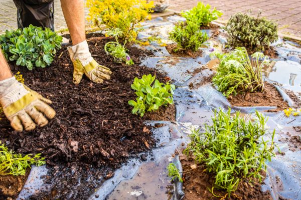 Mulch Fabric Installation in Naples