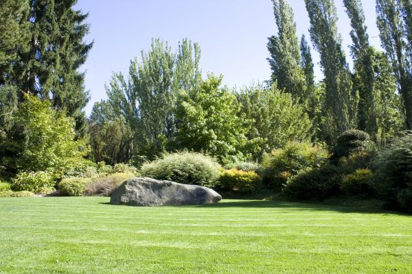 Yard Enlargement in Naples