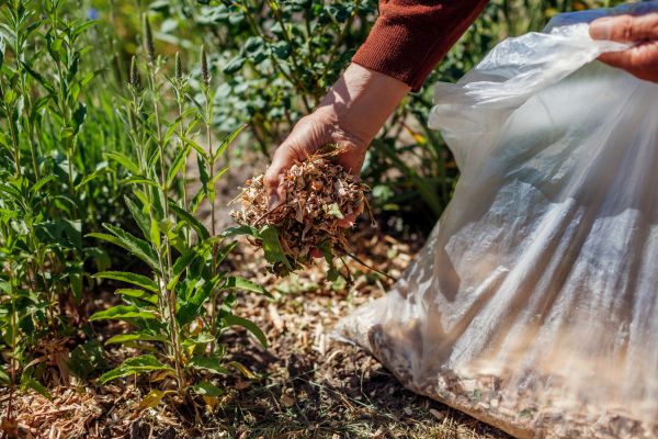 Wood Mulch Installation in Naples